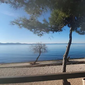 Apartament - Pine Diklo, Zadar